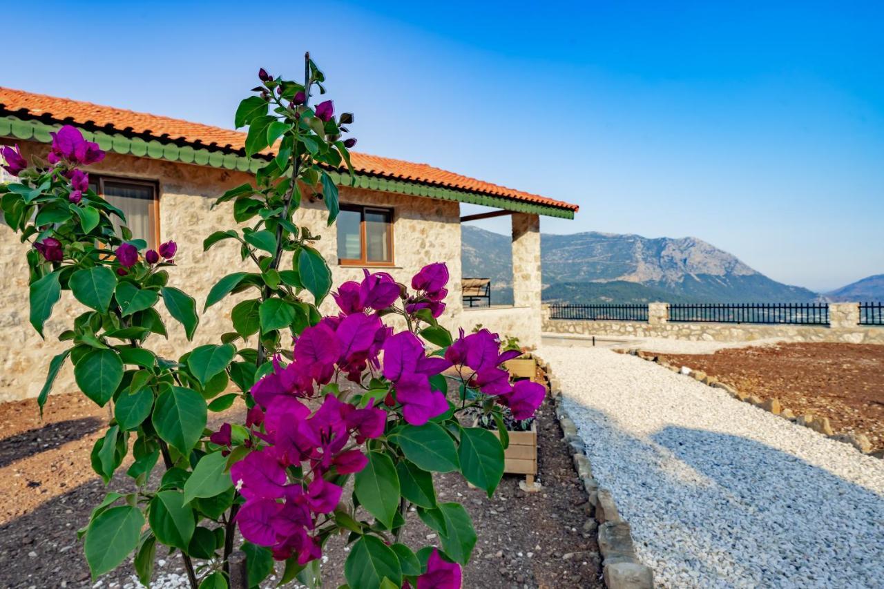 Villa Teras Adrasan Ngoại thất bức ảnh